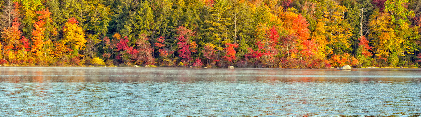 autumn forest by water